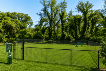 Dog park